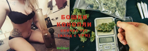 гидра Балахна