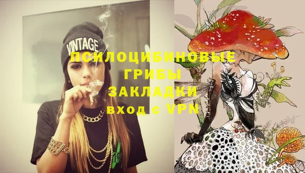 гидра Балахна
