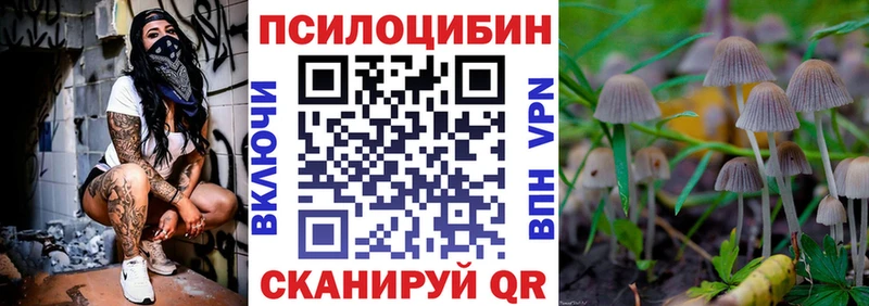 Галлюциногенные грибы MAGIC MUSHROOMS  купить  цена  Котово 